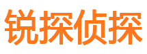 延平私家侦探公司